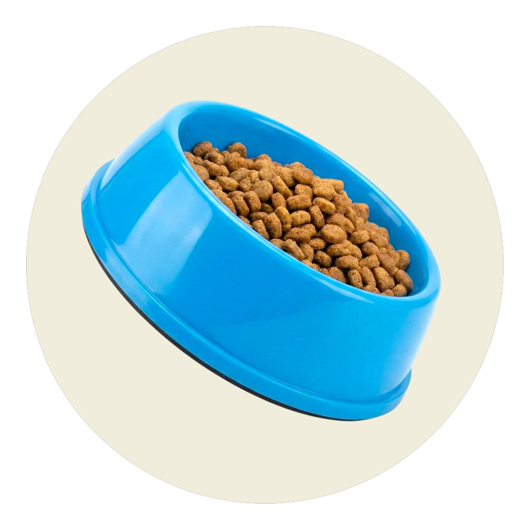 Pet Feeding Bowl