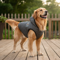 Padded Dog Winter Jacket with Hood – “Grace” Windproof Coat